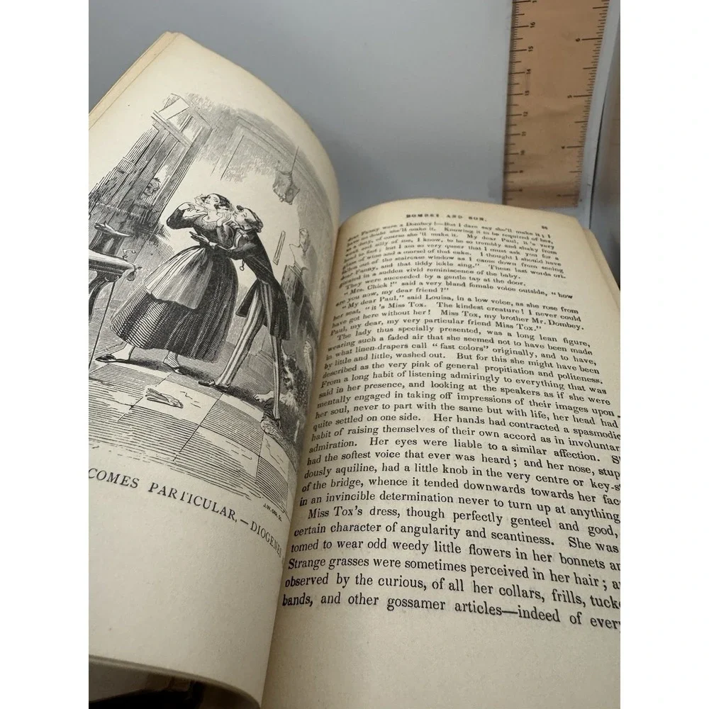 Charles Dickens Household Edition Antique Decorative Cloth Book English 1884